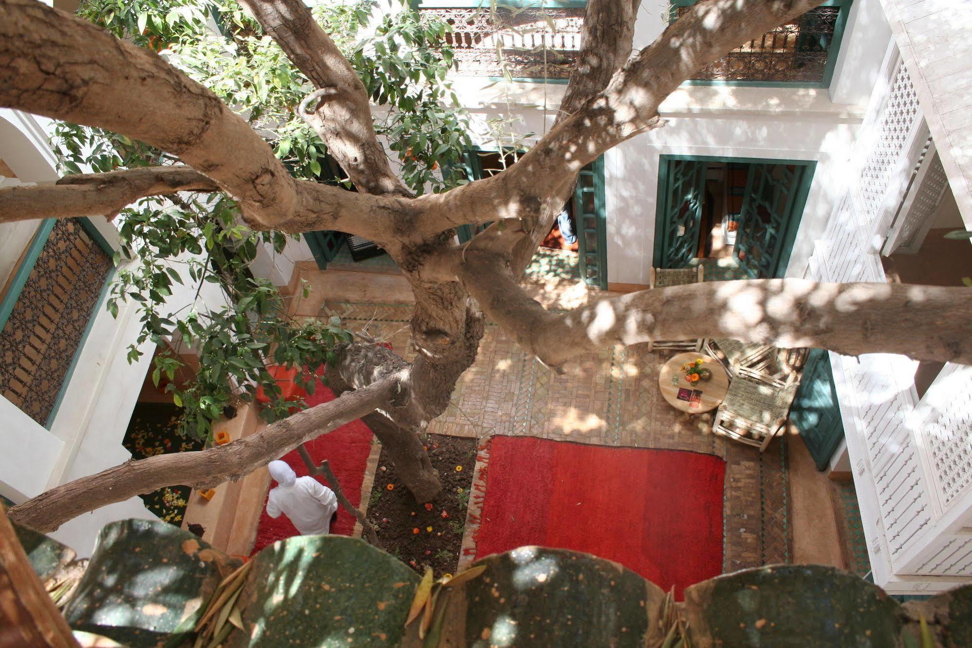 Riad Dar Zitouna en Exclusivité Marrakesh Exterior foto